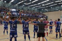 Manzanares-Palma