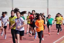 Olimpiadas Escolares 2024