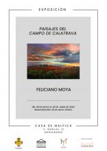 Exposición Feliciano Moya