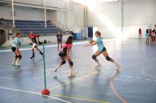 VI Handball Academy