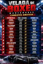 Velada de boxeo en Manzanares - Horarios