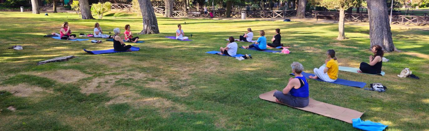 Clase del taller de yoga de la UP en el parque Julián Gómez Cambronero