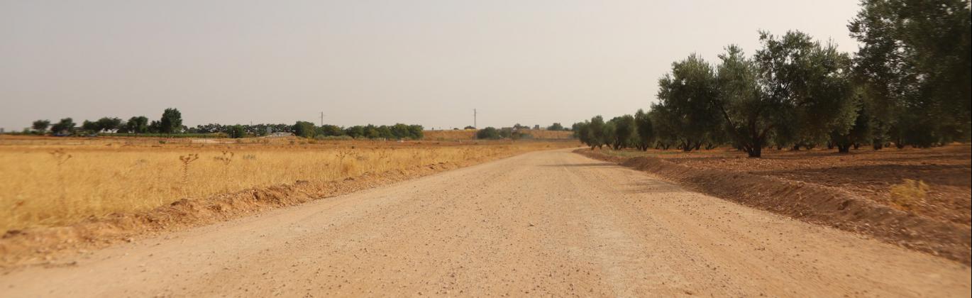 Plan de arreglo de caminos 2026 - Ayuntamiento de Manzanares