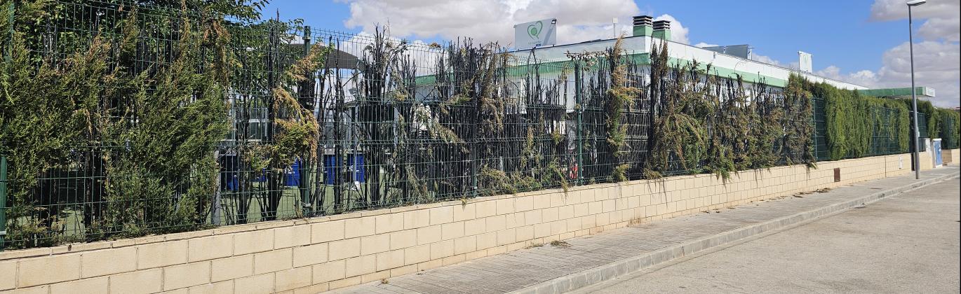 Estado en el que quedó el seto incendiado en La Sede