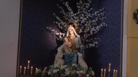 Embedded thumbnail for Pregón de exaltación a la Divina Pastora 2025